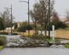 Tempête Caetano à Vienne : les premiers dégâts