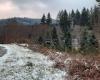 la Creuse se réveille sous une fine pellicule de neige ce vendredi matin