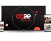 Free lance une nouvelle mise à jour Oqee sur les smartphones Player Pop, Android TV et Android