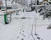 La tempête Caetano prive d’électricité 235 000 foyers dans l’Ouest