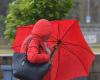 Tempête Caetano. Rafales de vent jusqu’à 110 km/h : le Maine-et-Loire en alerte