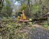 Arbres sur la route en Charente limousine, 4160 foyers privés d’électricité, la tempête Caetano n’épargne pas la Charente