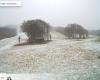 les premiers flocons de neige tombent en Aveyron et en Lozère ce jeudi !