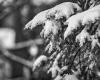 Variation de l’altitude de l’accumulation de neige jusqu’à jeudi soir et vendredi matin