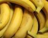 Banane durable au juste prix : les distributeurs face à leurs responsabilités