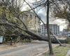 numerous tree falls in Loire-Atlantique