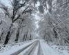 un jour de neige très rare en novembre