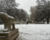 EN IMAGES – Nos plus belles photos de neige en Côte-d’Or et Saône-et-Loire