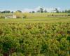 La bonne ambiance de la Gironde