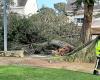 Inondations, arbres arrachés, lignes électriques arrachées… La tempête fait de nombreux dégâts à Carnac