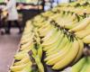 pourquoi le prix des bananes est susceptible d’augmenter