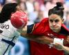 suivez en direct le match du tournoi de handball féminin français