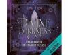 Divine Darkness tome 1 une Romantisme au top !