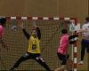 Handball. Saint-Cyr était trop fort pour le Sud Mayennais