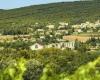 GARD Les Vignerons des Capitelles s’accordent avec vos repas de fin d’année