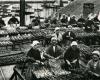 Comment la pêcherie de sardine « exploitée » de Douarnenez a forcé le patronat à se plier