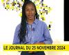 L’actualité panafricaine du 25 novembre 2024 [Africanews Today]