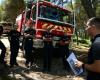 avec 206 incendies, le nombre d’incendies de forêt en baisse cette année