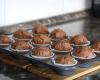 muffins gratuits dans 2 Columbus du Morbihan et dans 70 autres lieux