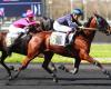 LES COURSES DU MARDI À PARIS-VINCENNES