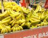 Parce que le prix des bananes va probablement augmenter