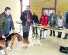 Monclar-de-Quercy. Canine Society 82: new confirmation