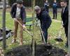 Planter l’arbre de la liberté – Le Petit Journal