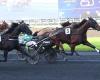 Prix ​​​​​​​​Doynel de Saint-Quentin (Gr. II) : Jushua Tree, comme prévu