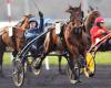 Inscription au Prix Ready Cash et Bourbonnais 2024 à Vincennes