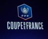 De belles retrouvailles en perspective, le LOSC connaît son adversaire pour les 32es de finale de Coupe de France