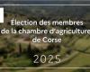 Elections des membres de la Chambre d’Agriculture de Corse – Elections – Vie démocratique – Actions de l’Etat