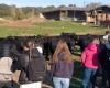 Sainte-Livrade-sur-Lot. Journée de la viande au lycée agricole