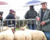 Ancien éleveur de moutons du Cotentin, Jacques Piquot est décédé à l’âge de 100 ans