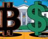 Trump entre le dollar et le Bitcoin