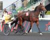 Un très beau plateau au Ready Cash Prize ce dimanche à Vincennes