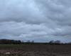 Bulletin météo. Quelle météo pour ce mercredi 4 décembre dans les Hauts-de-France ?