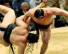 Les lutteurs de sumo japonais participent à leur premier tournoi à l’étranger en 20 ans