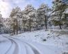 la neige revient, prévisions du week-end : Actualités