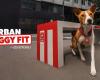 URBAN DOGGY FIT – Hit Parade