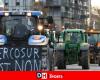 quels sont les impacts concrets à craindre pour les agriculteurs belges ?