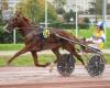 Fakir Mérite fera ses débuts en selle au Prix Auguste François à Vincennes