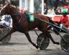 le titre NINETTA BOKO est testé à Vincennes