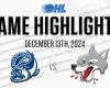 Steelheads de Brampton @ Wolves de Sudbury 13 décembre 2024