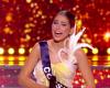 Les internautes amusés par Miss Corse à Miss France 2025