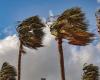 La tempête Dorothea force l’annulation des cours à El Hierro, Tenerife, La Gomera et dans les zones de La Palma