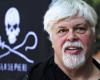 Libéré de sa prison danoise, Paul Watson est-il tiré d’affaire ?