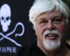 Le militant écologiste Paul Watson libéré de prison au Groenland