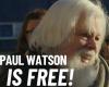 Paul Watson est libre ! Le Danemark refuse l’extradition d’un défenseur des baleines vers le Japon