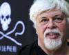 Le Danemark a libéré le militant anti-chasse à la baleine Paul Watson et ne l’extradera pas vers le Japon