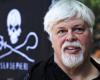 Le militant anti-chasse à la baleine libéré, Paul Watson, ne sera pas extradé par le Danemark vers le Japon – avocat